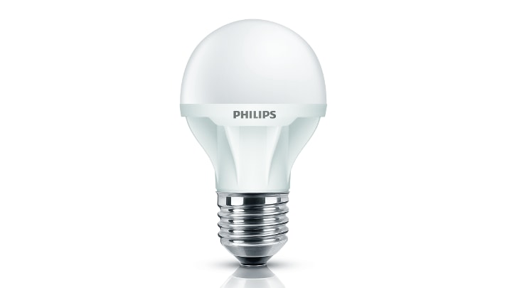 EcoBright LED bulb